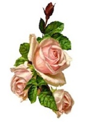 flowers#2